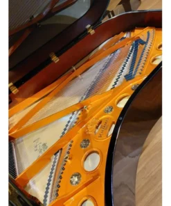Konzert K219 Tradition