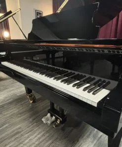 Konzert K230 Tradition