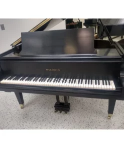 Konzert K230 Tradition