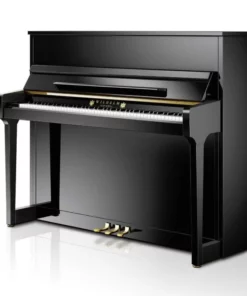 Konzert K230 Tradition