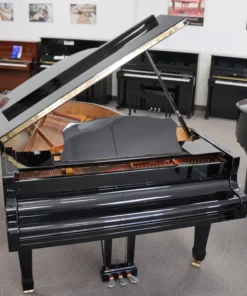 Konzert K230 Tradition