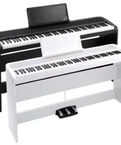 Korg B1