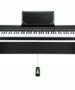 Korg B1