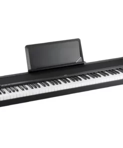 Korg B1