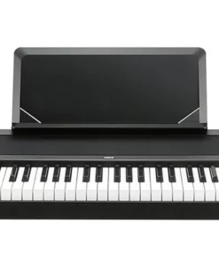 Korg B1