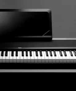 Korg B1