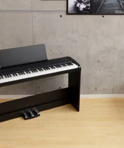 KORG B2SP Black