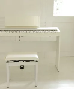 KORG B2SP (New)