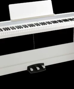 KORG B2SP (New)