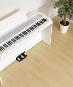 KORG B2SP (New)