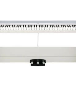 KORG B2SP (New)