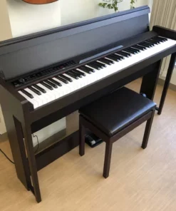 KORG C1 Air BW