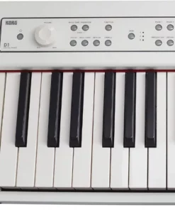 Korg D1 White