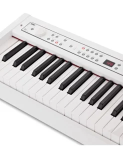 Korg D1 White