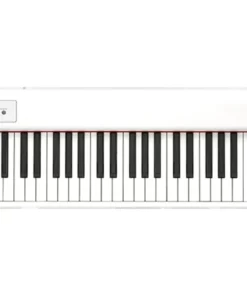 Korg D1 White