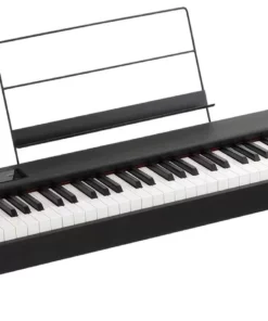 Korg D1