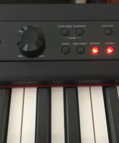 Korg D1
