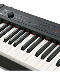 Korg D1