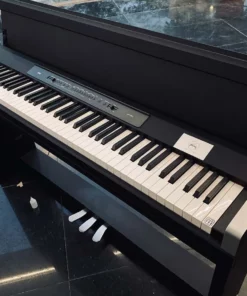 KORG LP-350 BK