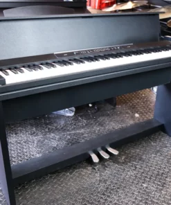 KORG LP-350 BK