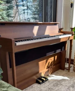 KORG Poetry Chopin-Inspired