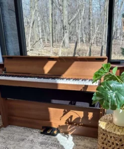 KORG Poetry Chopin-Inspired