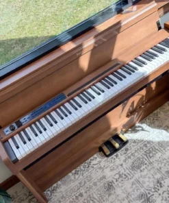 KORG Poetry Chopin-Inspired