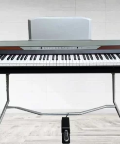 KORG SP-250