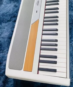 KORG SP-250