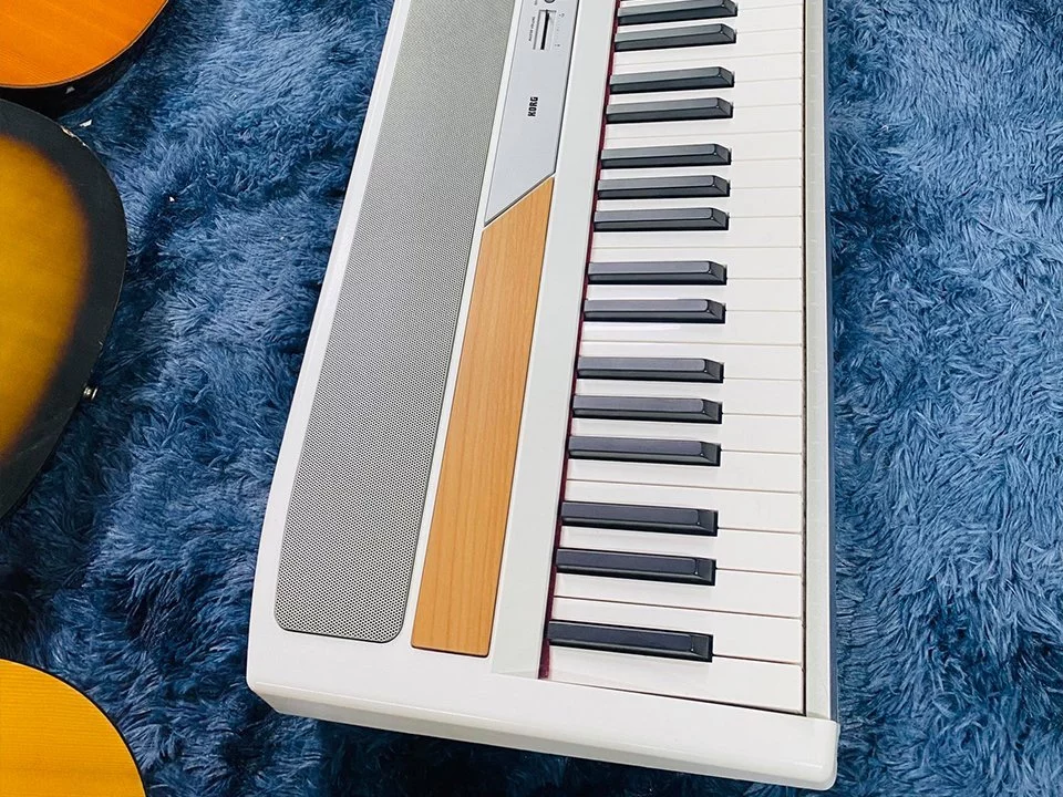 KORG SP-250 - Nah Music