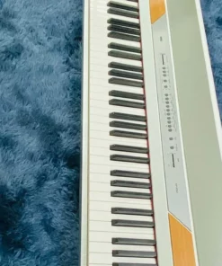 KORG SP-250