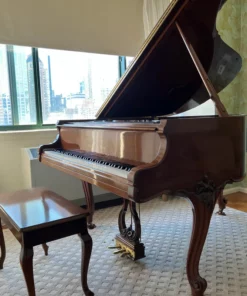STEINWAY LOUIS XV - MODEL M