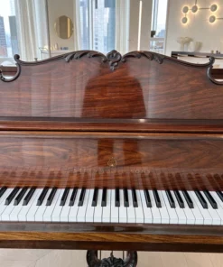 STEINWAY LOUIS XV - MODEL M