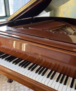 STEINWAY LOUIS XV - MODEL M
