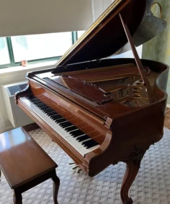 STEINWAY LOUIS XV - MODEL M