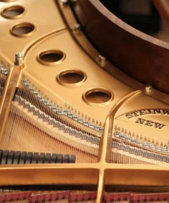 STEINWAY LOUIS XV - MODEL M