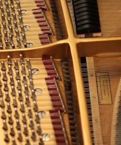 STEINWAY LOUIS XV - MODEL M