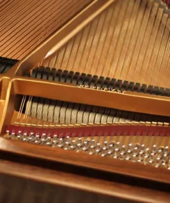 STEINWAY LOUIS XV - MODEL M