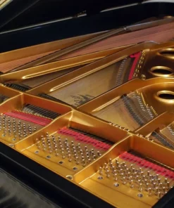 Mason & Hamlin Model CC (VX Series) - Concert Grand