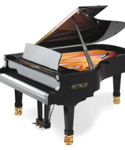 P-210 PASAT