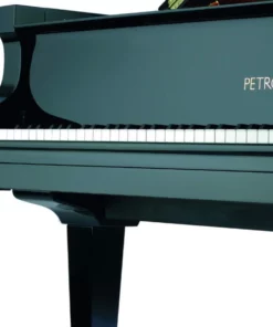 P-210 PASAT
