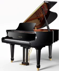 Pearl River P9