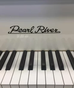 Pearl River P9