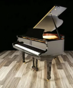 Pearl River P9
