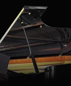 Pearl River P9
