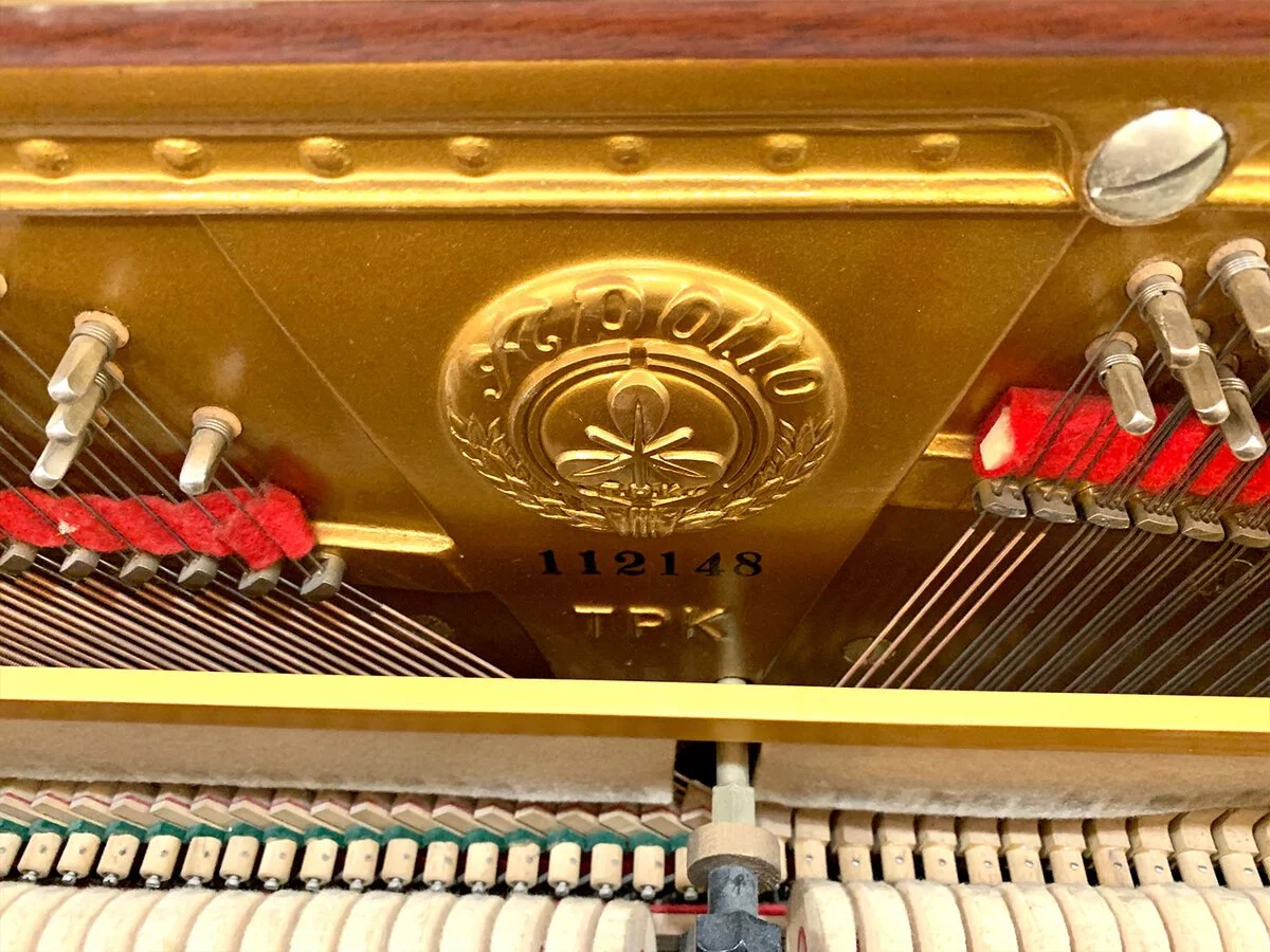 PIANO APOLLO A360 - Nah Music