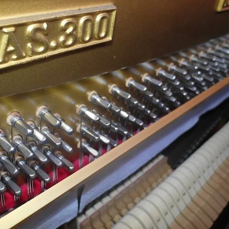 Đàn piano Apollo PIANO APOLLO AS300 – Chi tiết bàn phím