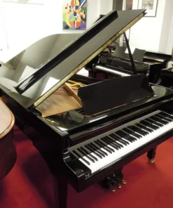 Pleyel OP190-BLKR