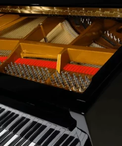 Pleyel P170-BLK