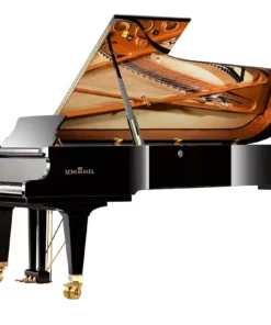 Konzert K219 Tradition